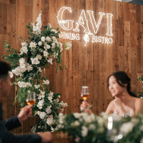 gavi_008