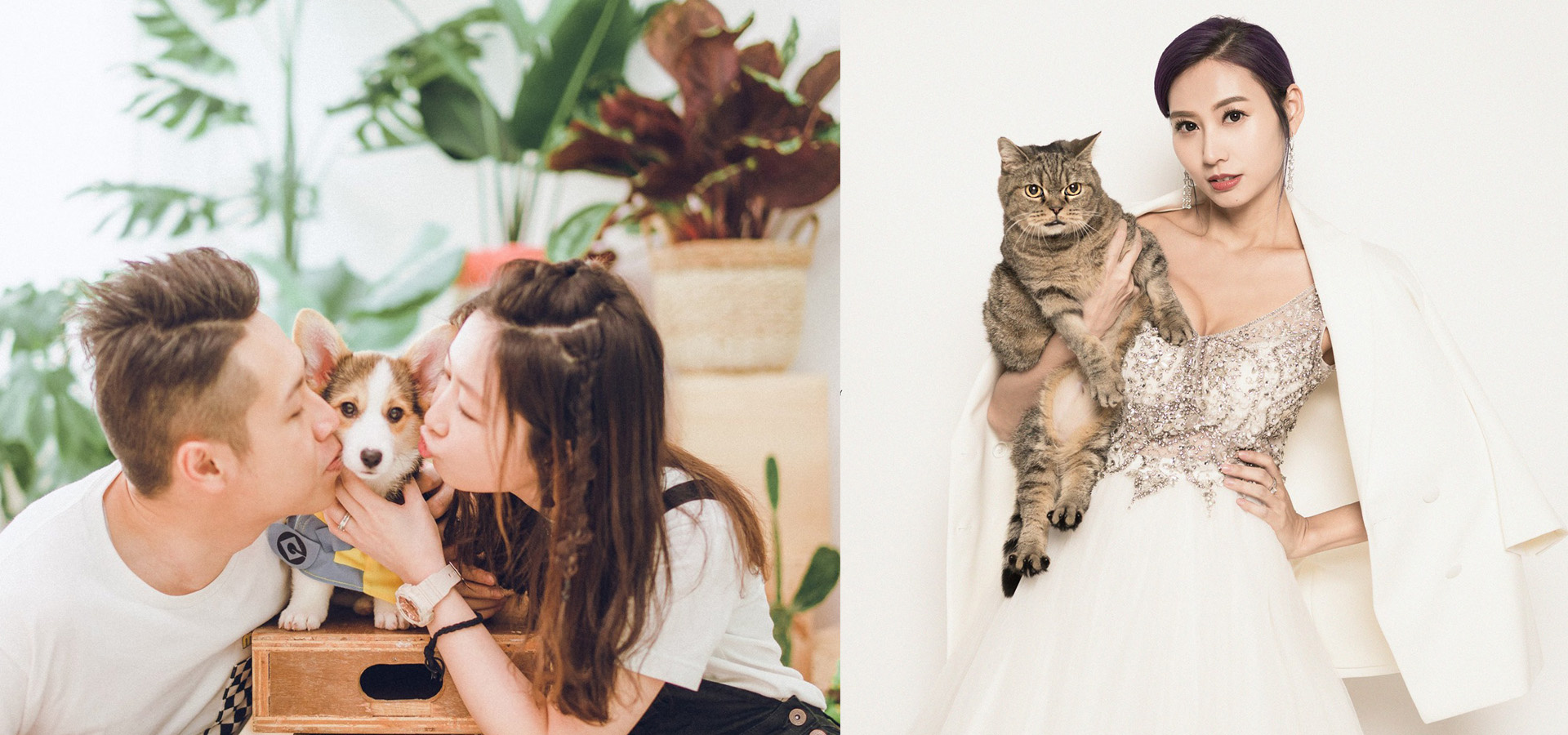 petphotojunemain
